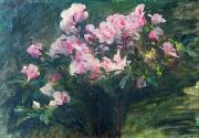 Charles-Amable Lenoir Study of Azaleas oil painting reproduction